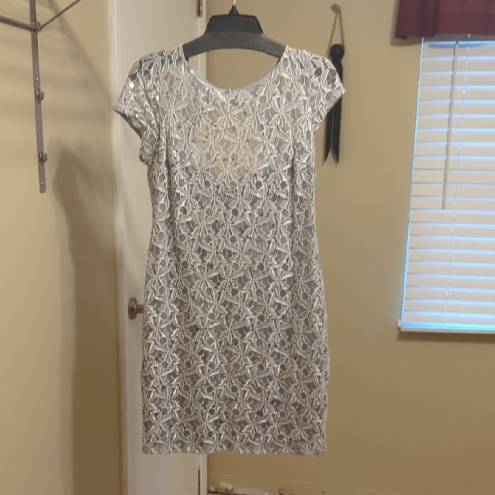 Elegant Lace Dress in Silver